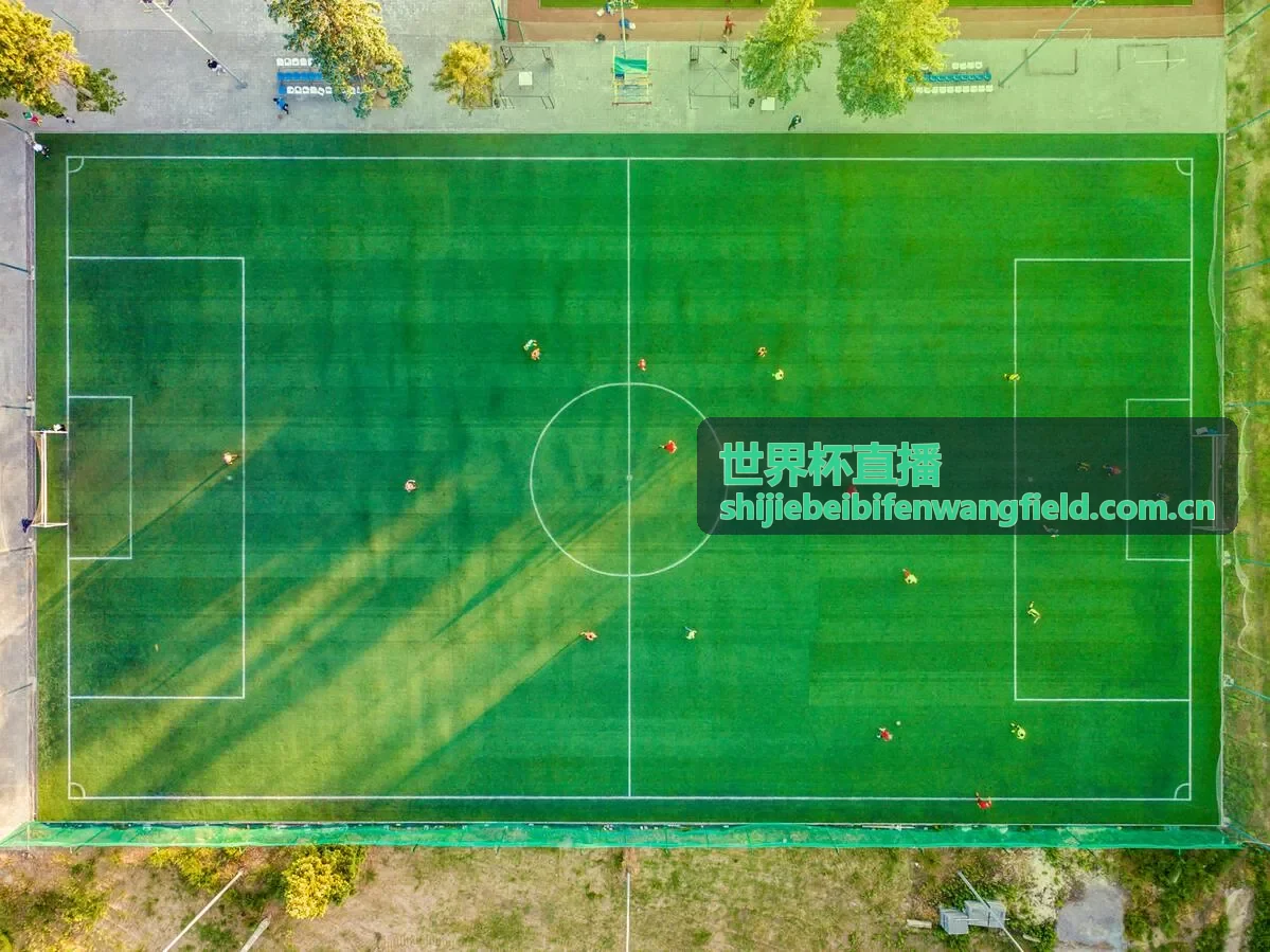 世界杯直播 - 意甲联赛赛程
